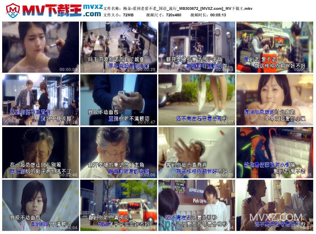 梅朵-爱到老爱不老_国语_流行_MB303672